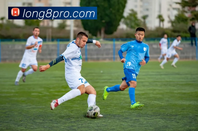 未来规划